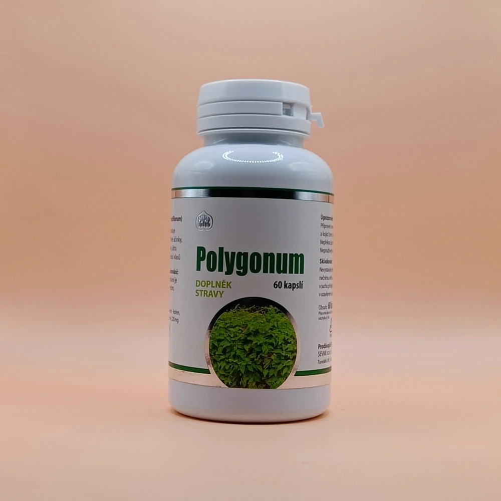 Polygonum (60 kapslí)